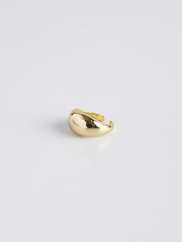 Anillo Torre