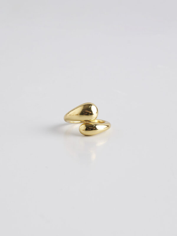 Anillo Burgos